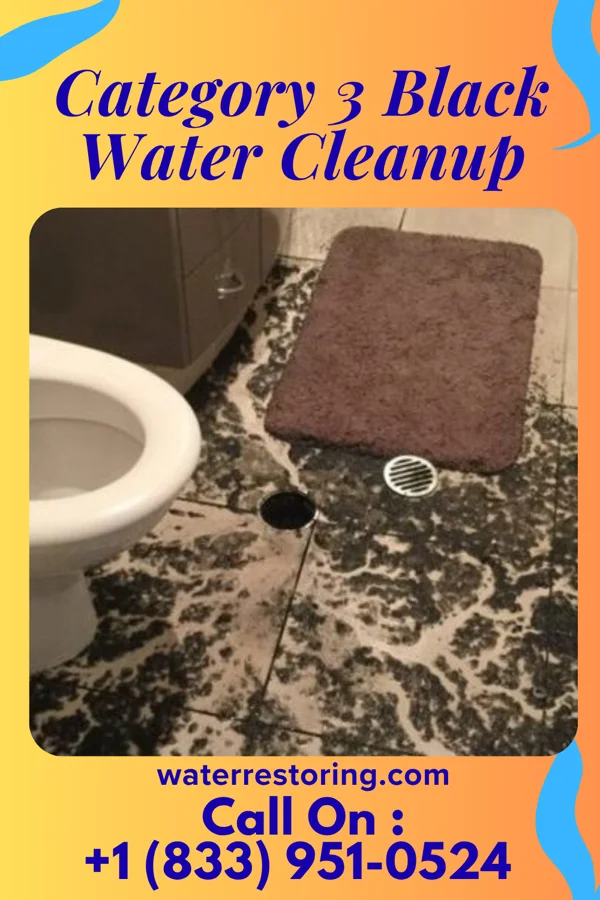Category 3 Black Water Cleanup in Williamstown, KS