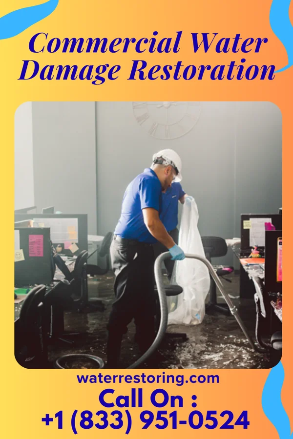 Commercial Water Damage Restoration in Williamstown, KS