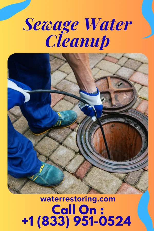 Sewage Water Cleanup in Williamstown, KS
